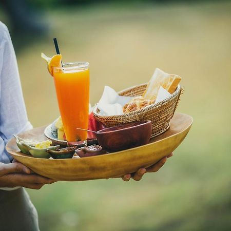 The Jungle Club - Sha Extra Plus Pantai Chaweng Luaran gambar